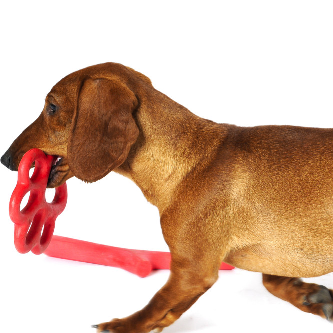 BAMA PET ORMA игрушка для собак, 15 см, резина, цвета в ассортименте