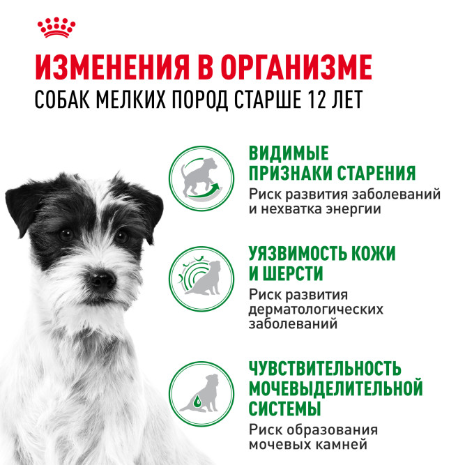 Royal Canin Mini Aging 12+ влажный корм для пожилых собак мелких пород старше 12 лет, кусочки в соусе, в паучах - 85 г х 28 шт