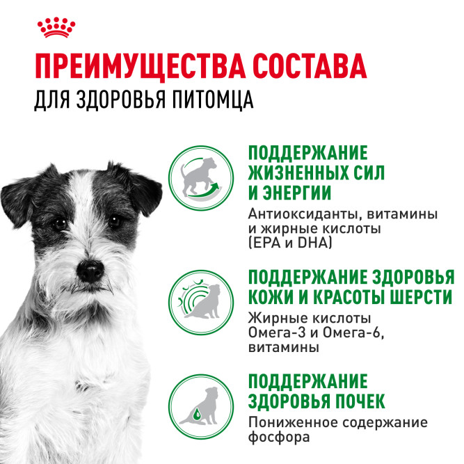 Royal Canin Mini Aging 12+ влажный корм для пожилых собак мелких пород старше 12 лет, кусочки в соусе, в паучах - 85 г х 28 шт