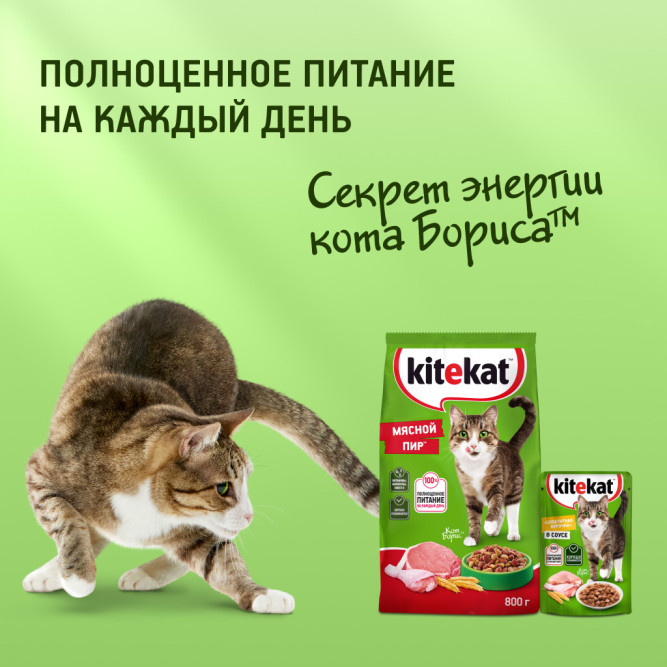 Kitekat сухой корм для взрослых кошек с аппетитной телятинкой - 1,9 кг