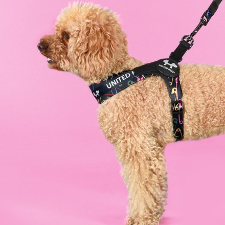 United Pets Complete me 3.5 - XL шлейка для собак, 48-64 см, черная с разноцветными булавками