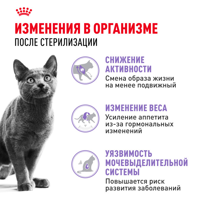 Royal Canin Sterilised 37 сухой корм для Кастрированных котов и Стерилизованных кошек - 4 кг