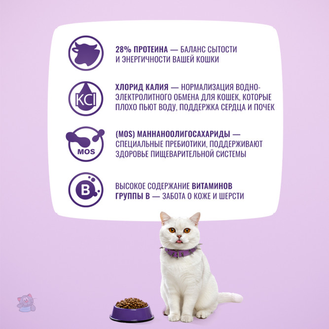 KLATZ! сухой полнорационный корм для взрослых кошек с говядиной - 10 кг