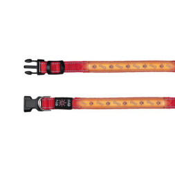 Ошейник Trixie для собак светящийся с USB M–L 40–50 см/25 мм красный