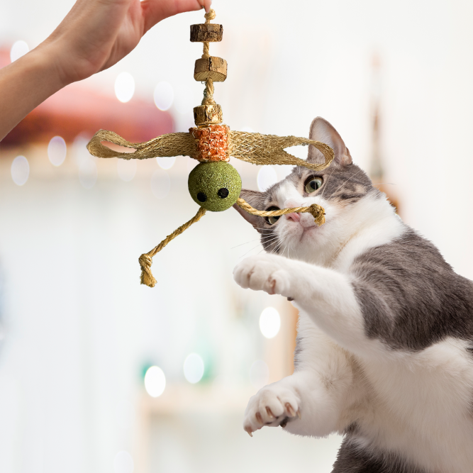 BONITAPET игрушка для кошек Стрекоза