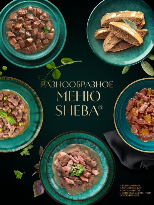 Sheba Craft Collection влажный корм для кошек сочные слайсы с курицей, в соусе, в паучах - 75 г х 28 шт