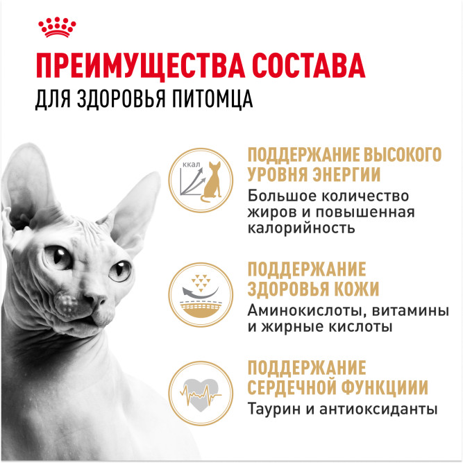 Royal Canin Sphynx сухой корм для взрослых кошек породы сфинкс - 10 кг
