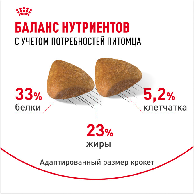 Royal Canin Sphynx сухой корм для взрослых кошек породы сфинкс - 10 кг