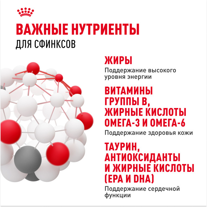 Royal Canin Sphynx сухой корм для взрослых кошек породы сфинкс - 10 кг
