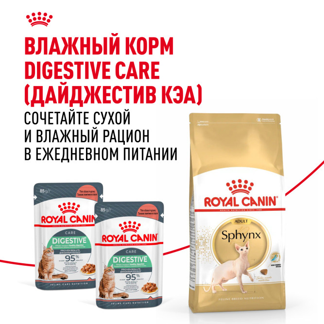 Royal Canin Sphynx сухой корм для взрослых кошек породы сфинкс - 10 кг
