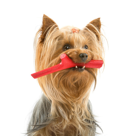 BAMA PET TUTTO MIO игрушка для собак палочка, 16 см, резиновая, цвета в ассортименте