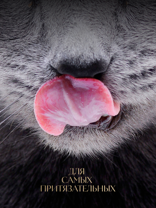 Sheba Nature's Collection влажный корм для кошек с лососем и горохом, в паучах - 75 г х 28 шт