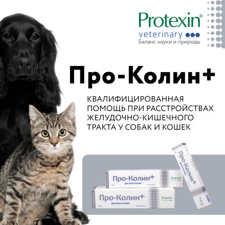 Protexin Проколин для лечения диареи и пищевых расстройств у собак и кошек - 60 мл