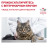 Royal Canin Renal Special сухой корм для взрослых кошек с хронической почечной недостаточностью - 400 г