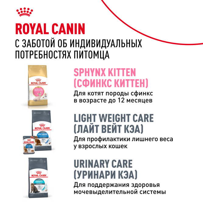 Royal Canin Sphynx сухой корм для взрослых кошек породы сфинкс - 2 кг