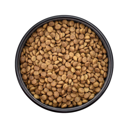 Smart Cat сухой корм для котят, с ягненком - 1,4 кг
