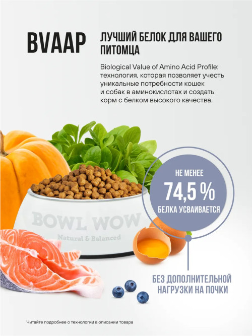 BOWL WOW сухой корм для котят с индейкой, курицей и черникой - 4 кг