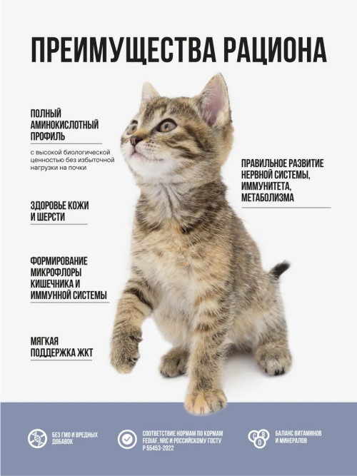 BOWL WOW сухой корм для котят с индейкой, курицей и черникой - 4 кг