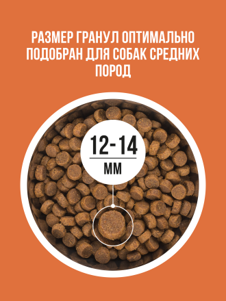 BOWL WOW сухой корм для взрослых собак средних пород с ягненком, индейкой, рисом и морковью - 10 кг