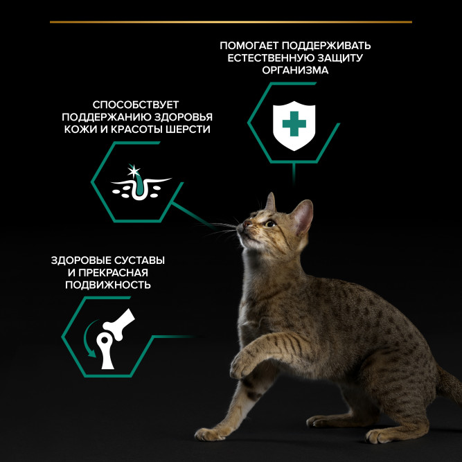 Purina Pro Plan Maintenance влажный корм для взрослых кошек, кусочки с говядиной в соусе, в паучах - 85 г х 26 шт