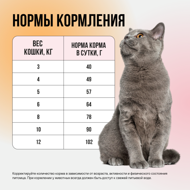 BOWL WOW мини-набор сухих кормов для взрослых кошек с чувствительным пищеварением - 100 г х 4 шт: с яблоком - 2 шт; и тыквой - 2 шт