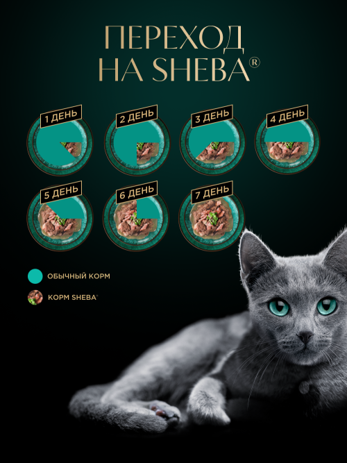 Sheba влажный корм для кошек ломтики с форелью и креветками, в соусе, в паучах - 75 г х 28 шт