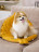 Mr.Kranch лежанка для собак Листочек, средняя двусторонняя, с имитацией кожи, 90х65х5 см, охра