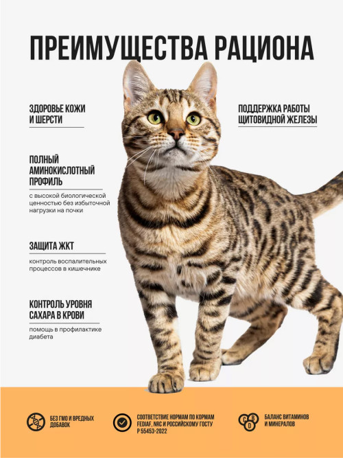 BOWL WOW сухой корм для взрослых кошек с чувствительным пищеварением с индейкой, курицей и тыквой - 8 кг