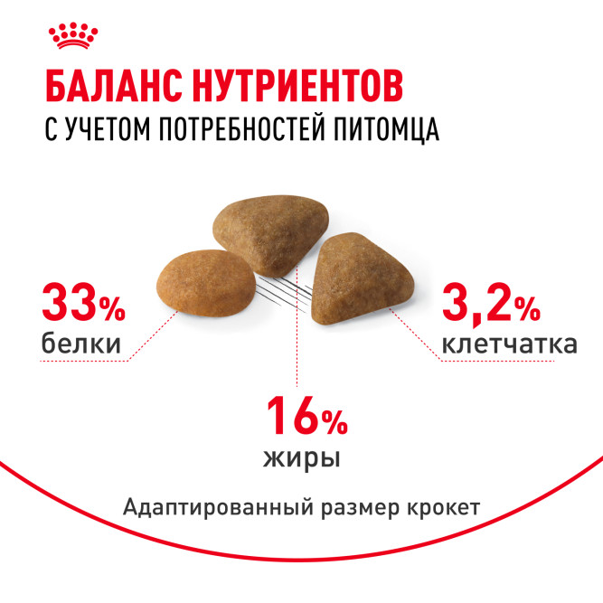Royal Canin Savour Exigent сухой корм для взрослых привередливых кошек - 2 кг