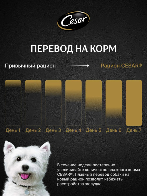 Cesar влажный корм для взрослых собак с говядиной, кроликом и шпинатом, в паучах - 85 г х 28 шт