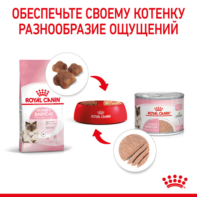 Royal Canin Babycat Instinctive влажный корм в консервах для котят с рождения до 4 месяцев - 12 шт х 195 гр