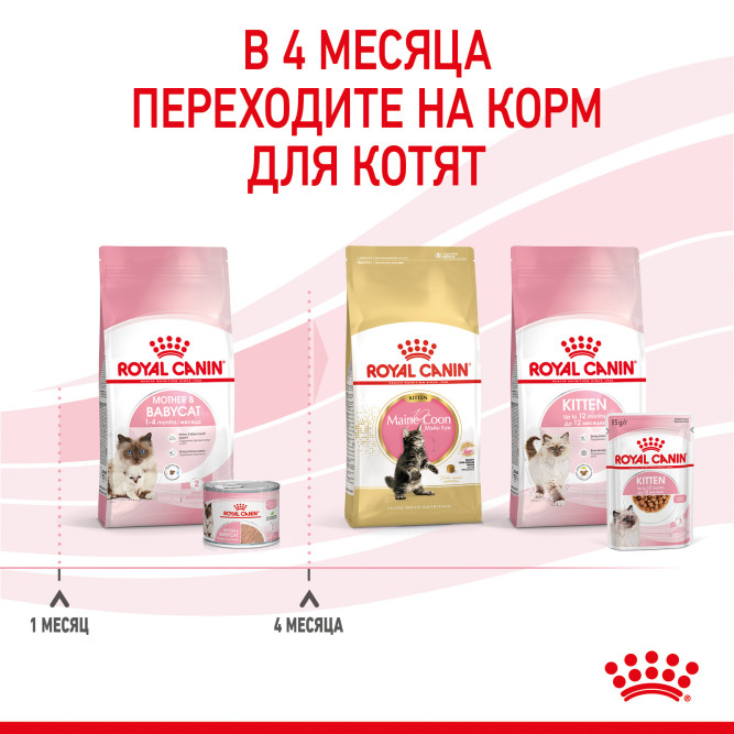 Royal Canin Babycat Instinctive влажный корм в консервах для котят с рождения до 4 месяцев - 12 шт х 195 гр