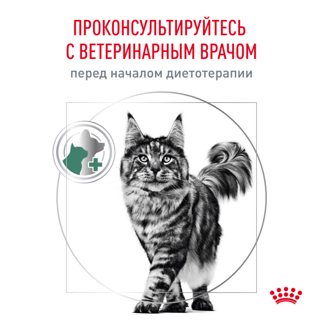 Royal Canin Satiety Weight Management сухой диетический корм для взрослых кошек с избыточным весом - 400 г