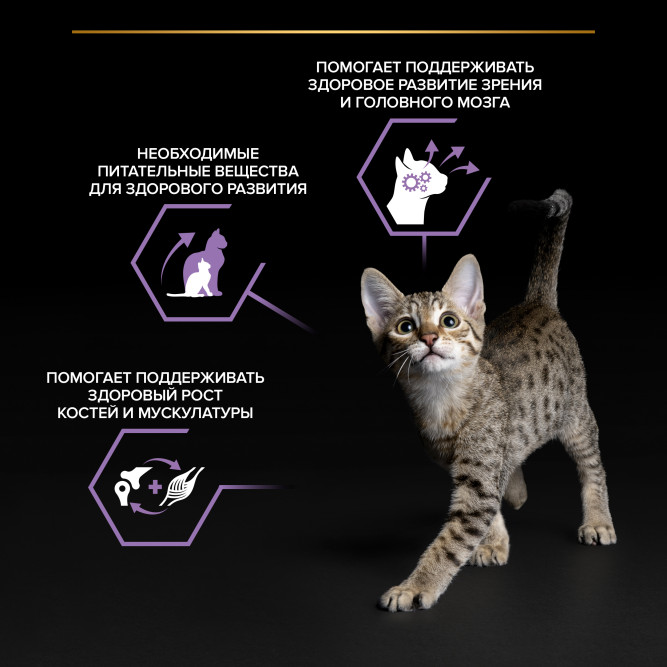 Purina Pro Plan Healthy Start влажный корм для котят, беременных и кормящих кошек, кусочки с лососем в соусе, в паучах - 85 г х 26 шт