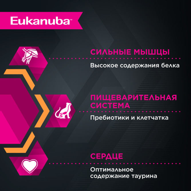 Eukanuba Adult Top Condition влажный корм для взрослых кошек с говядиной в соусе, в паучах - 85 г х 28 шт