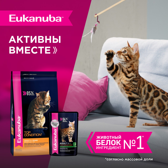 Eukanuba Adult Top Condition влажный корм для взрослых кошек с говядиной в соусе, в паучах - 85 г х 28 шт