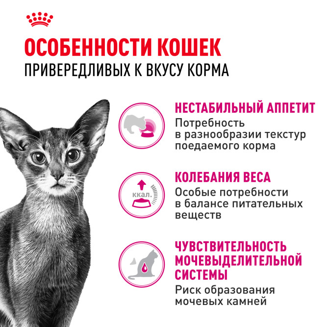 Royal Canin Savour Exigent сухой корм для взрослых привередливых кошек - 400 г
