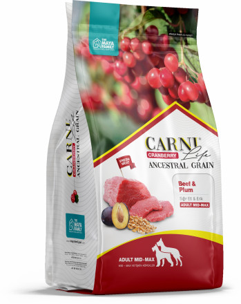 CARNI LIFE Medium Maxi сухой корм для взрослых собак средних и крупных пород с говядиной, черносливом и клюквой - 2,5 кг