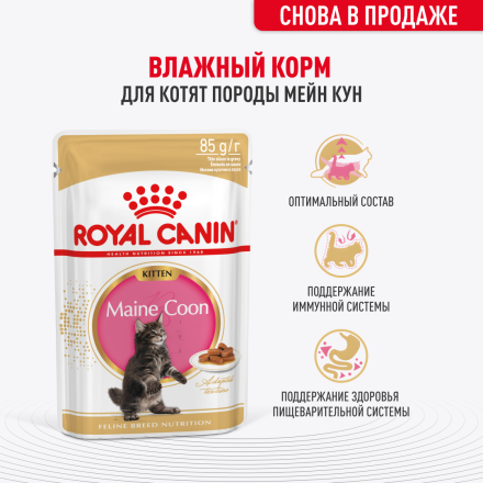 Royal Canin Maine Coon Kitten влажный корм для котят породы мейн-кун до 15 месяцев, в соусе, в паучах - 85 г х 28 шт