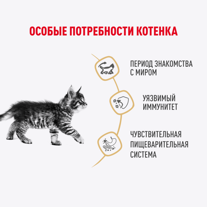 Royal Canin Maine Coon Kitten влажный корм для котят породы мейн-кун до 15 месяцев, в соусе, в паучах - 85 г х 28 шт