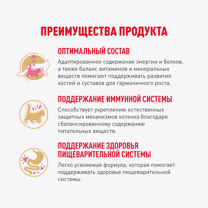 Royal Canin Maine Coon Kitten влажный корм для котят породы мейн-кун до 15 месяцев, в соусе, в паучах - 85 г х 28 шт