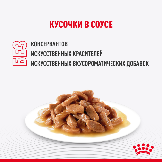 Royal Canin Maine Coon Kitten влажный корм для котят породы мейн-кун до 15 месяцев, в соусе, в паучах - 85 г х 28 шт