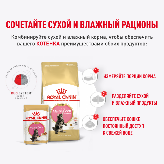 Royal Canin Maine Coon Kitten влажный корм для котят породы мейн-кун до 15 месяцев, в соусе, в паучах - 85 г х 28 шт