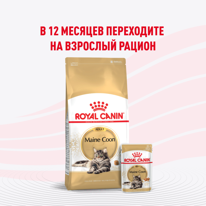 Royal Canin Maine Coon Kitten влажный корм для котят породы мейн-кун до 15 месяцев, в соусе, в паучах - 85 г х 28 шт
