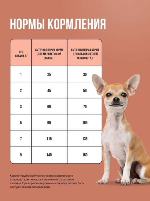 BOWL WOW сухой корм для взрослых собак мелких пород с ягненком, индейкой, рисом и тыквой - 800 г