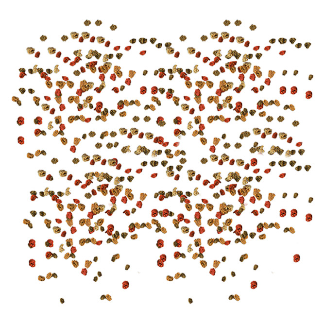 Tetra Min Granules корм для всех видов рыб в гранулах - 15 г (саше)