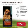 Изображение товара Farmina Cibau Sensitive Lamb Medium & Maxi сухой корм для взрослых собак с чувствительным пищеварением с ягненком - 12 кг