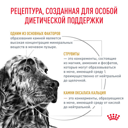 Royal Canin Urinary S/O сухой диетический корм для взрослых собак при МКБ - 13 кг
