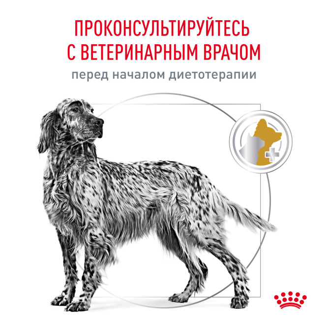 Royal Canin Urinary S/O сухой диетический корм для взрослых собак при МКБ - 13 кг