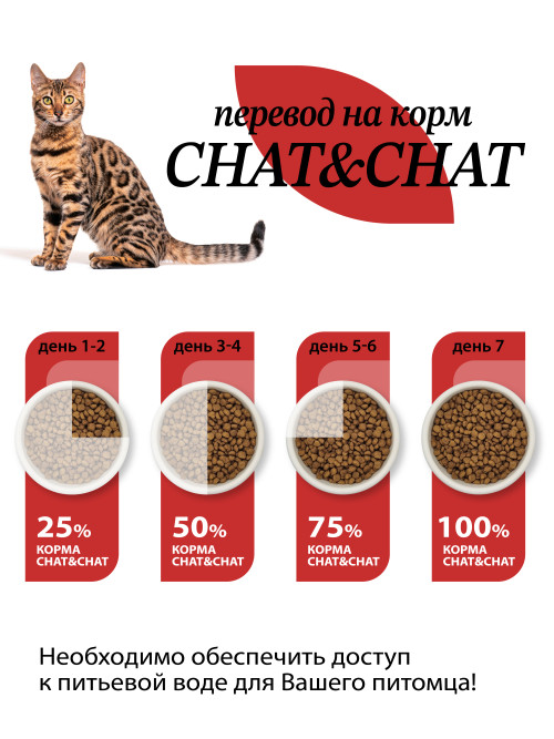 Chat&amp;Chat Adult Gourmand Beef сухой корм для взрослых кошек с говядиной - 900 г